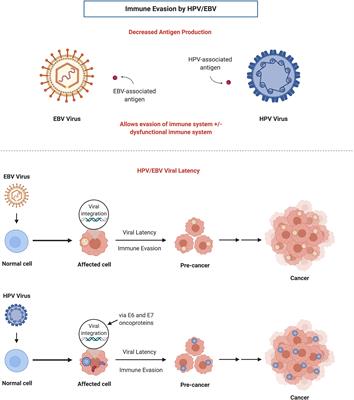 The Role of Immunotherapy to Overcome Resistance in Viral-Associated Head and Neck Cancer